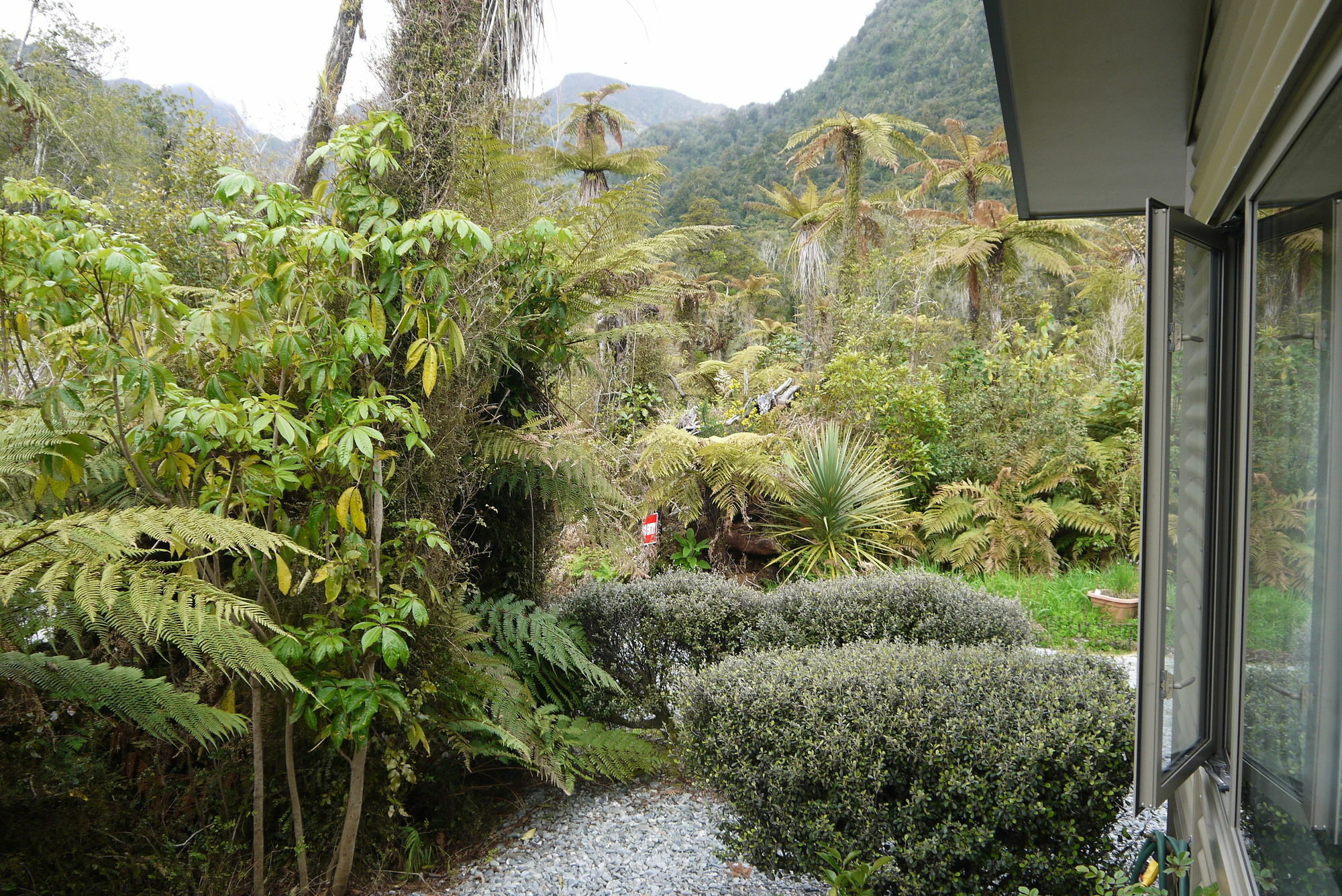 Franz Josef Treetops Exterior photo